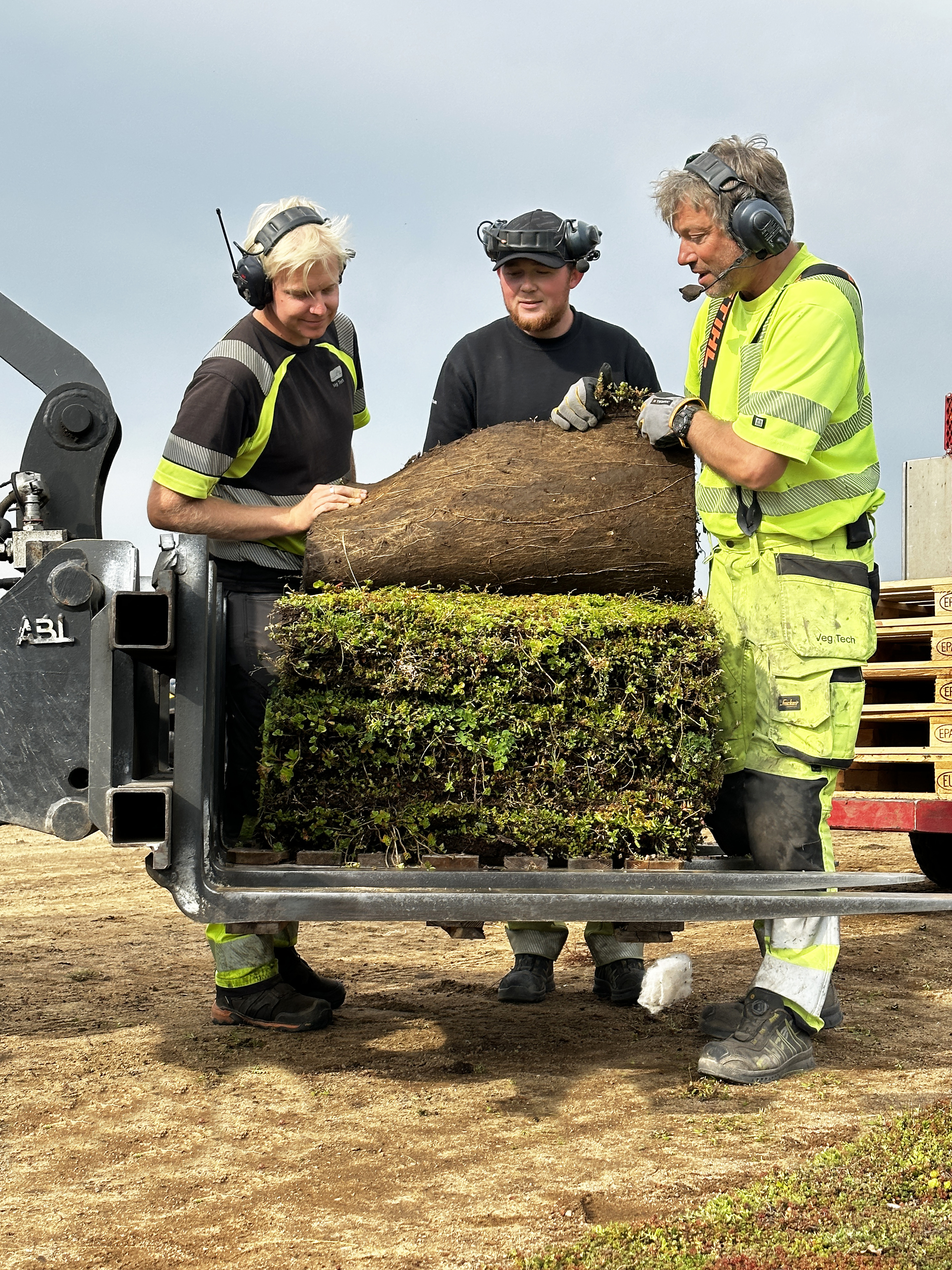 VegTech är bönder som odlar Sedum i industriell skala från hemligt recept